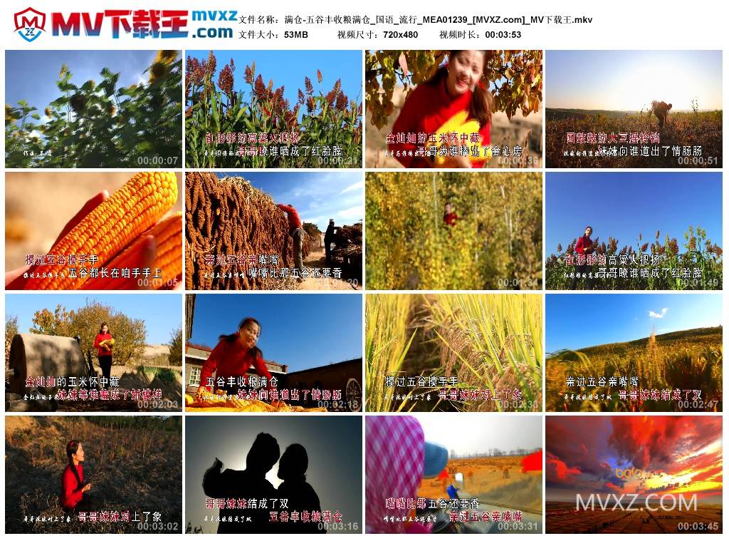 满仓-五谷丰收粮满仓_国语_流行_MEA01239